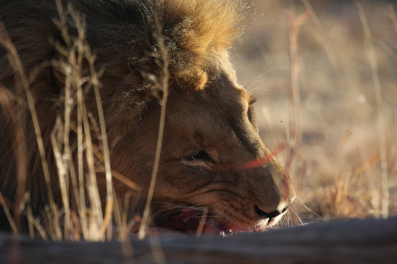 [7624] 2016_06_23_11_43_17_Africa_Canon_EOS_40D_IMG__09028.jpg