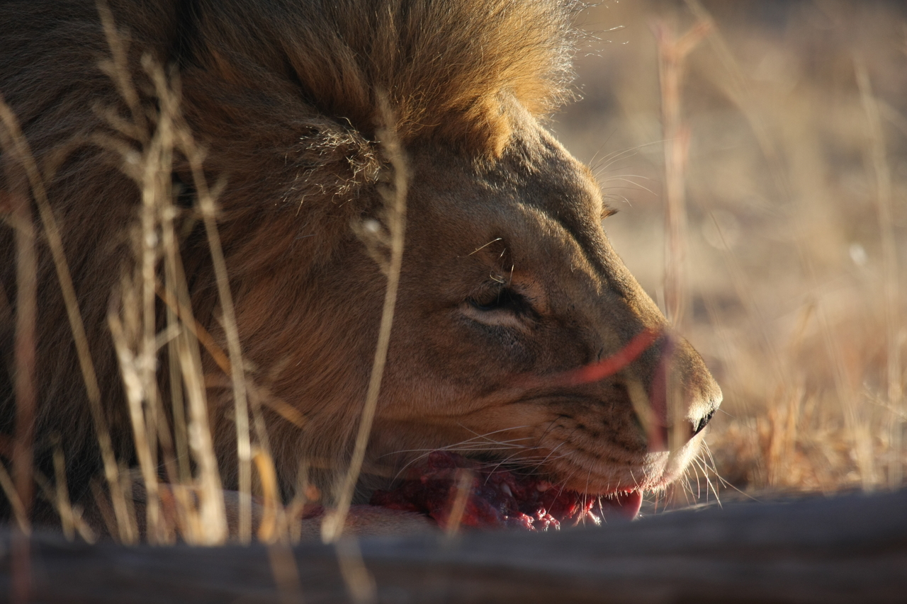 [7640] 2016_06_23_11_43_22_Africa_Canon_EOS_40D_IMG__01698.jpg