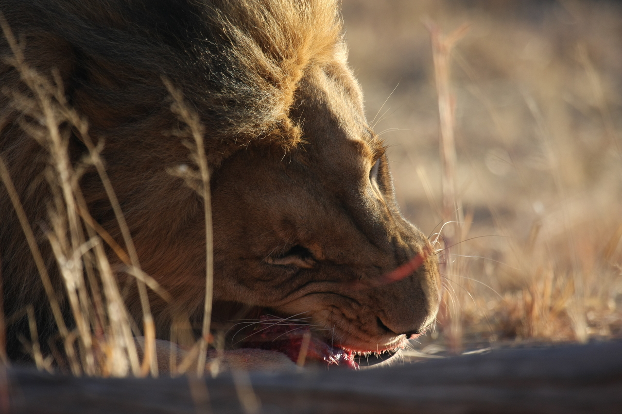 [7655] 2016_06_23_11_43_28_Africa_Canon_EOS_40D_IMG__01883.jpg