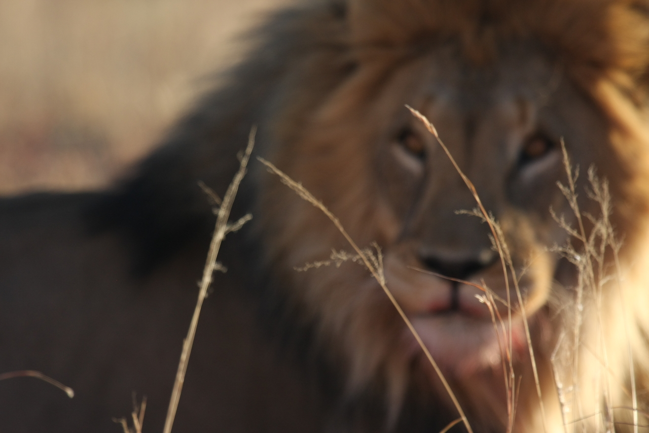 [7665] 2016_06_23_11_43_33_Africa_Canon_EOS_40D_IMG__01588.jpg