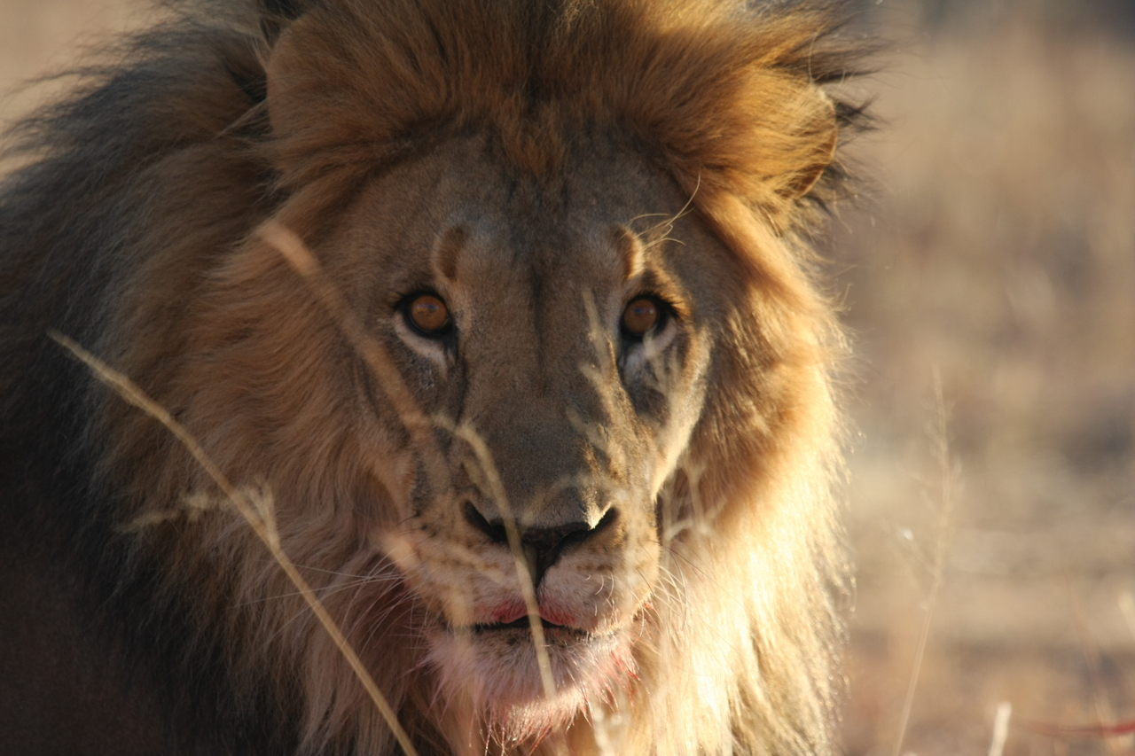 [7673] 2016_06_23_11_43_34_Africa_Canon_EOS_40D_IMG__01610.jpg