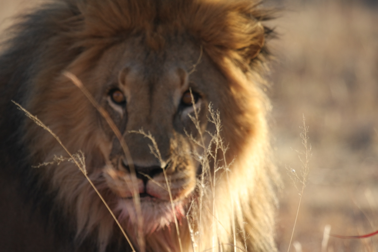 [7679] 2016_06_23_11_43_35_Africa_Canon_EOS_40D_IMG__00798.jpg