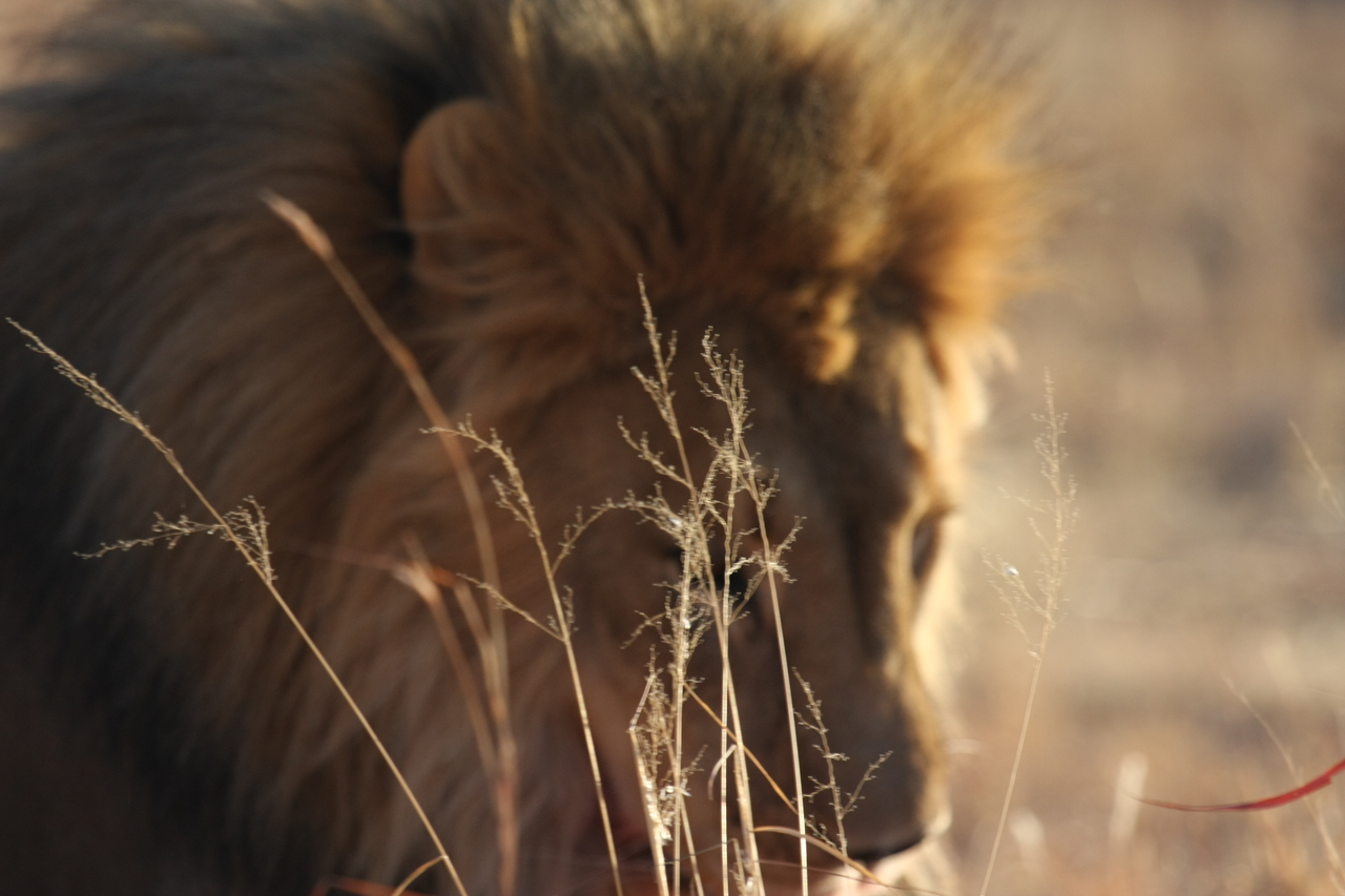 [7689] 2016_06_23_11_43_36_Africa_Canon_EOS_40D_IMG__01665.jpg