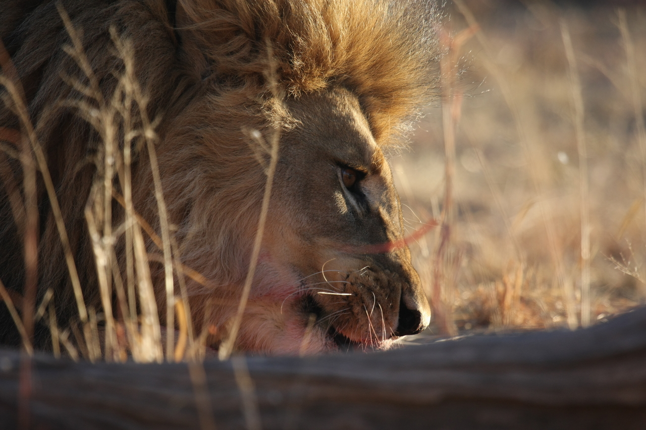 [7722] 2016_06_23_11_44_03_Africa_Canon_EOS_40D_IMG__00964.jpg