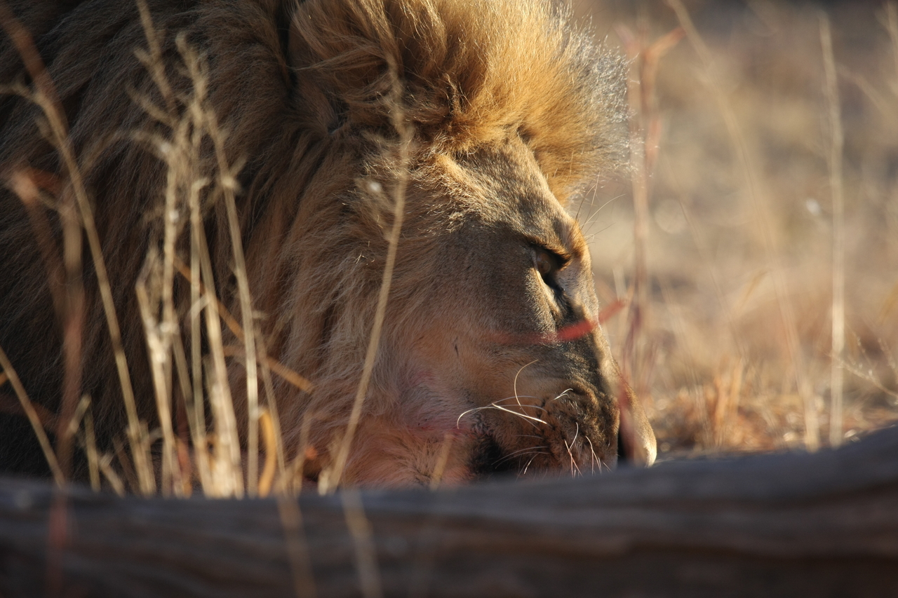 [7730] 2016_06_23_11_44_04_Africa_Canon_EOS_40D_IMG__00987.jpg