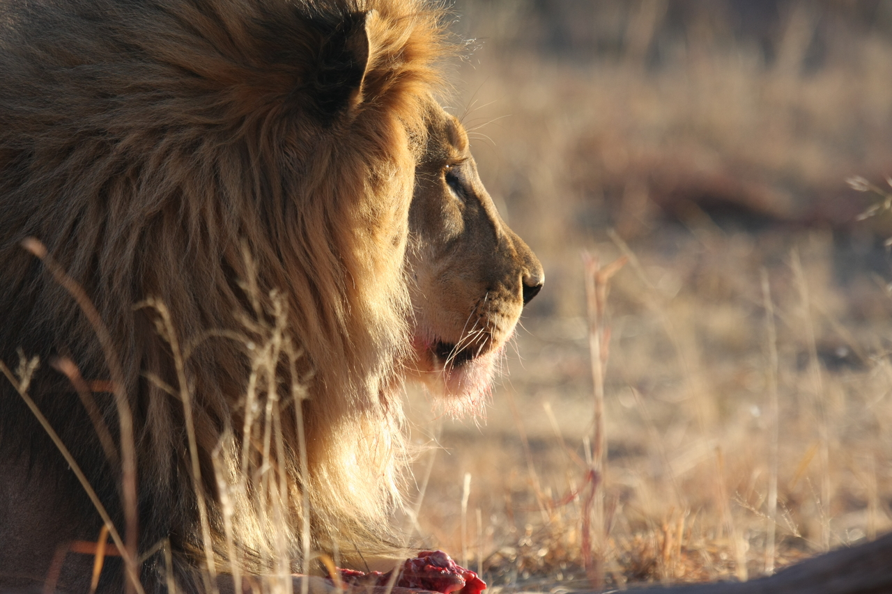 [7755] 2016_06_23_11_45_09_Africa_Canon_EOS_40D_IMG__01860.jpg