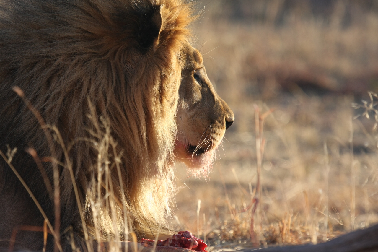 [7757] 2016_06_23_11_45_09_Africa_Canon_EOS_40D_IMG__09306.jpg