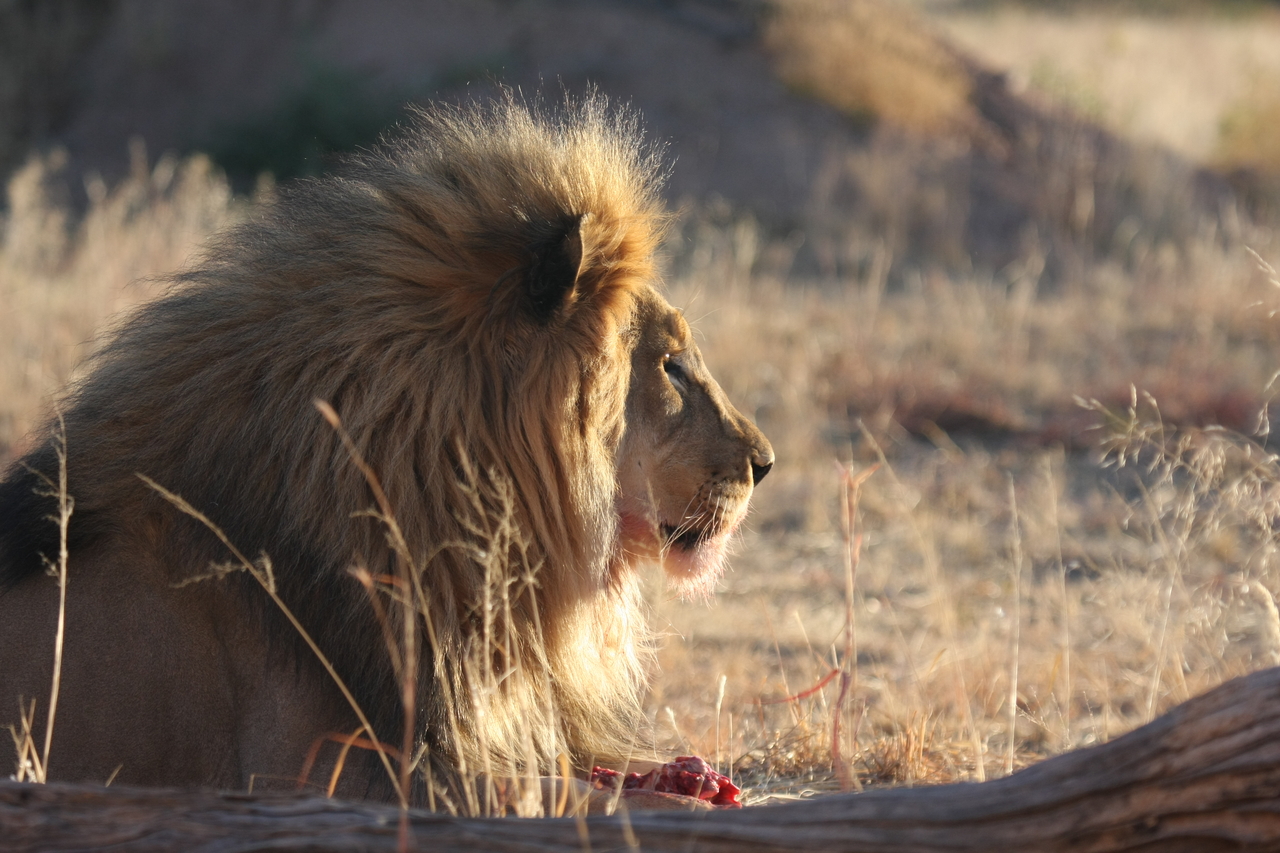 [7765] 2016_06_23_11_45_14_Africa_Canon_EOS_40D_IMG__01865.jpg