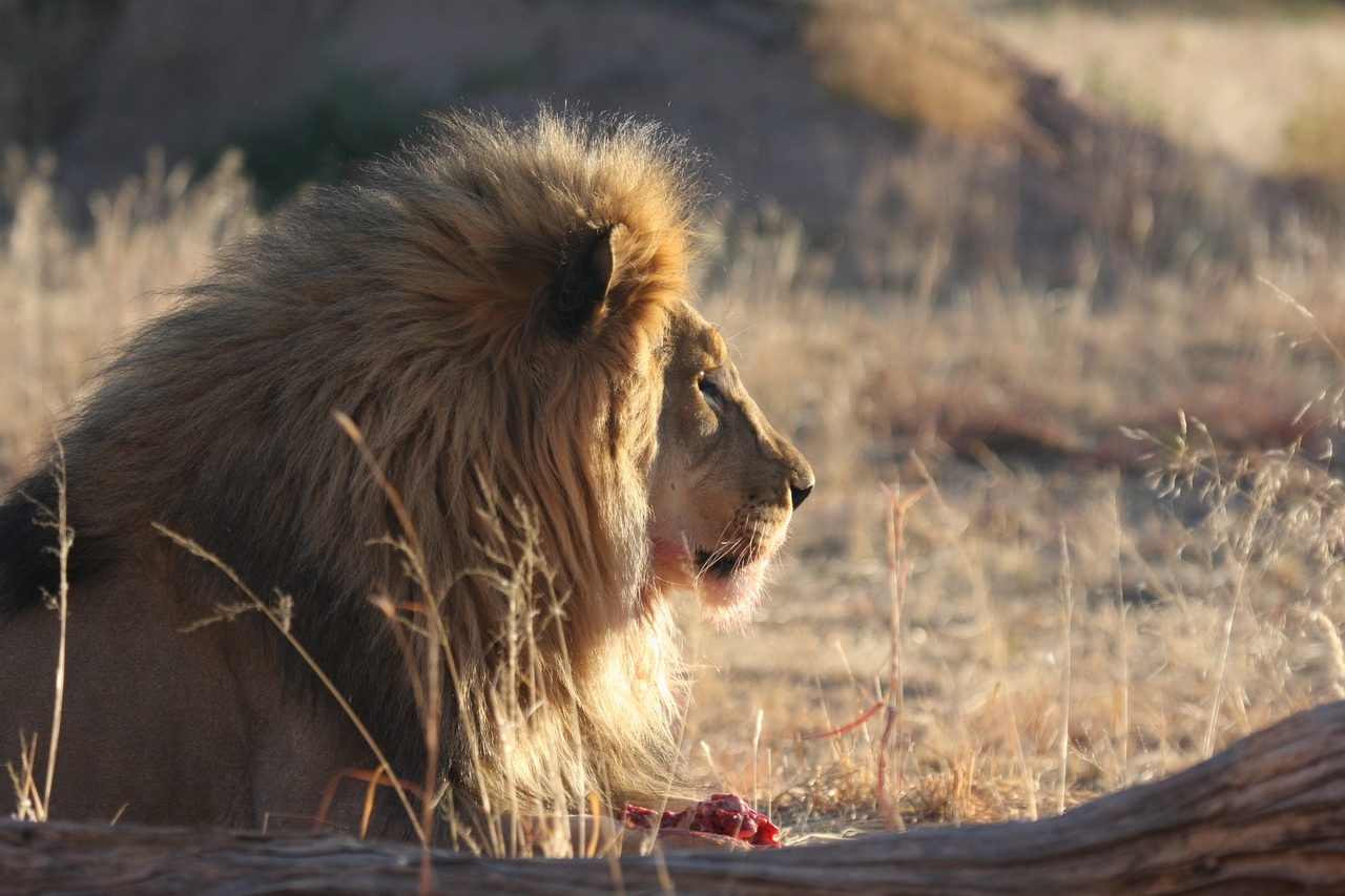 [7775] 2016_06_23_11_45_15_Africa_Canon_EOS_40D_IMG__09313.jpg