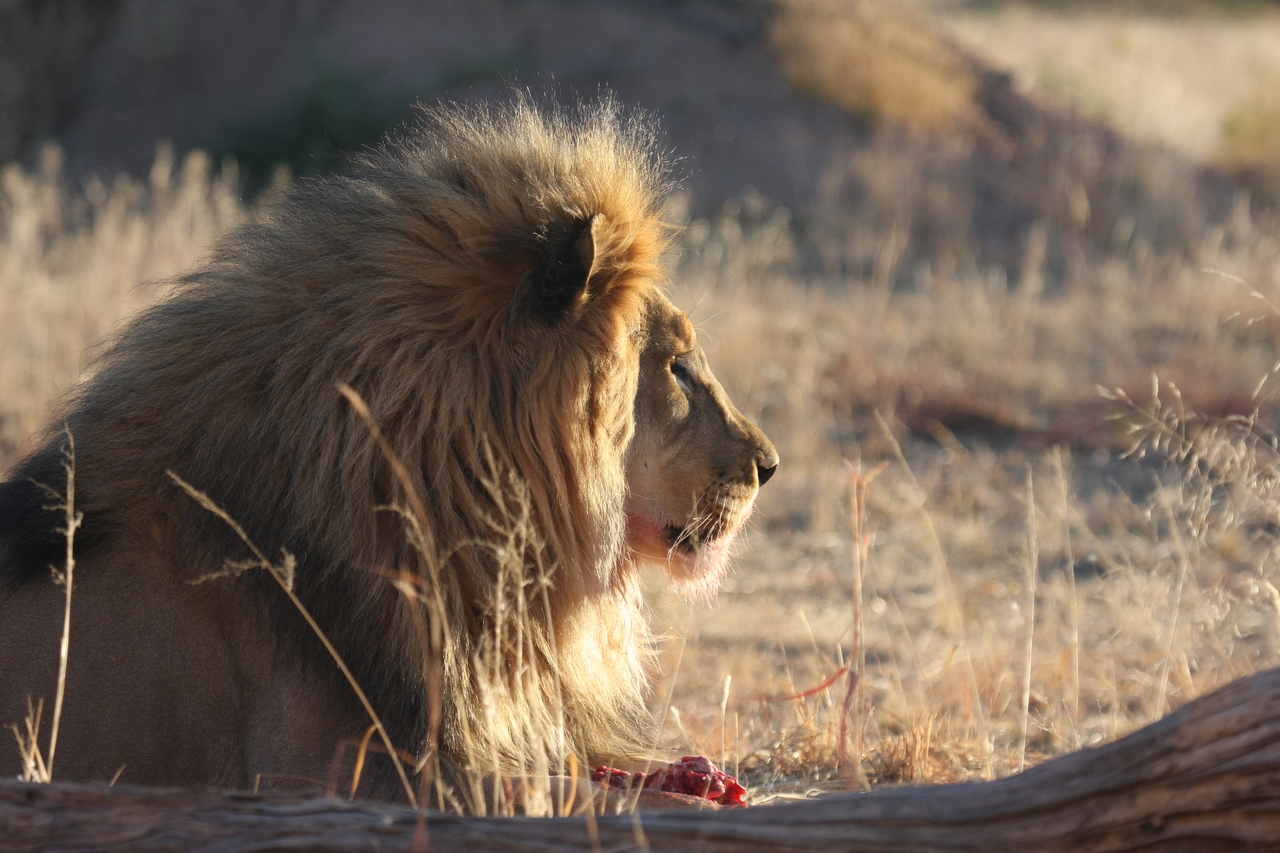 [7777] 2016_06_23_11_45_15_Africa_Canon_EOS_40D_IMG__09315.jpg