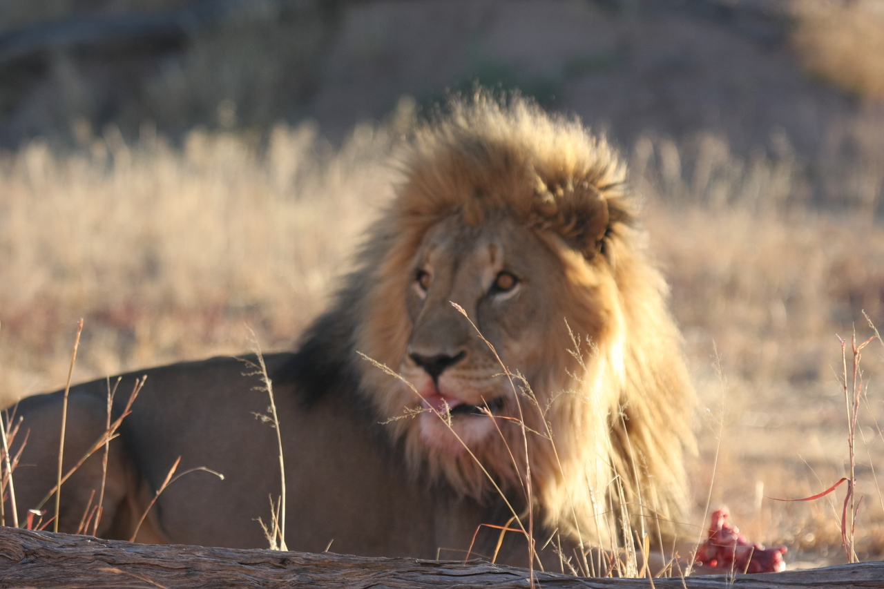 [7790] 2016_06_23_11_46_00_Africa_Canon_EOS_40D_IMG__01040.jpg