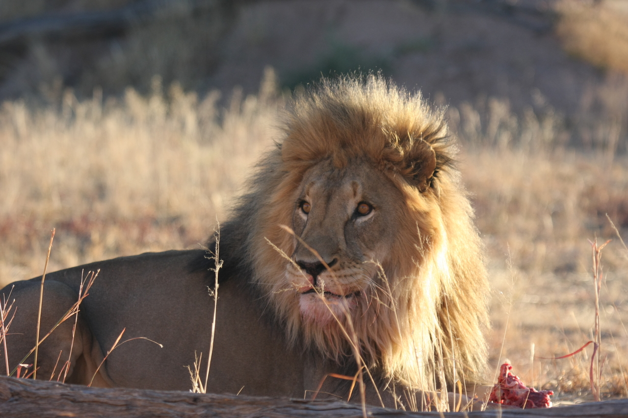 [7795] 2016_06_23_11_46_00_Africa_Canon_EOS_40D_IMG__01876.jpg