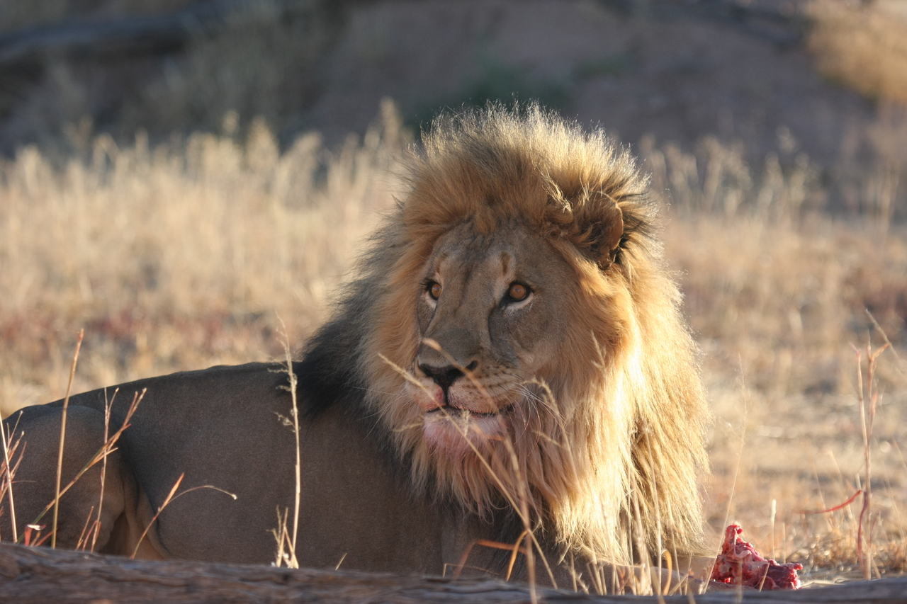 [7797] 2016_06_23_11_46_00_Africa_Canon_EOS_40D_IMG__09322.jpg