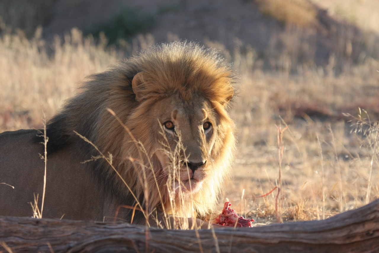 [7814] 2016_06_23_11_46_04_Africa_Canon_EOS_40D_IMG__01048.jpg