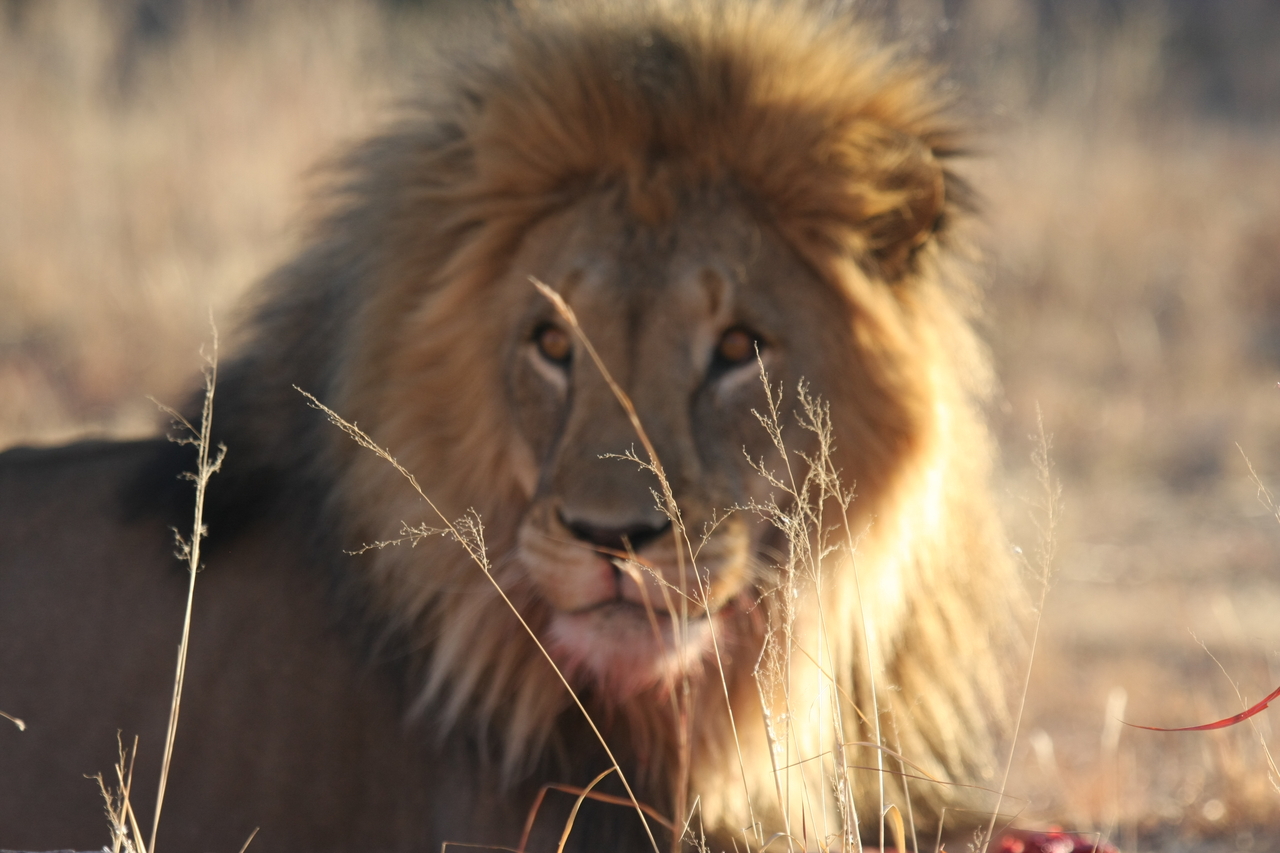 [7849] 2016_06_23_11_46_24_Africa_Canon_EOS_40D_IMG__09335.jpg