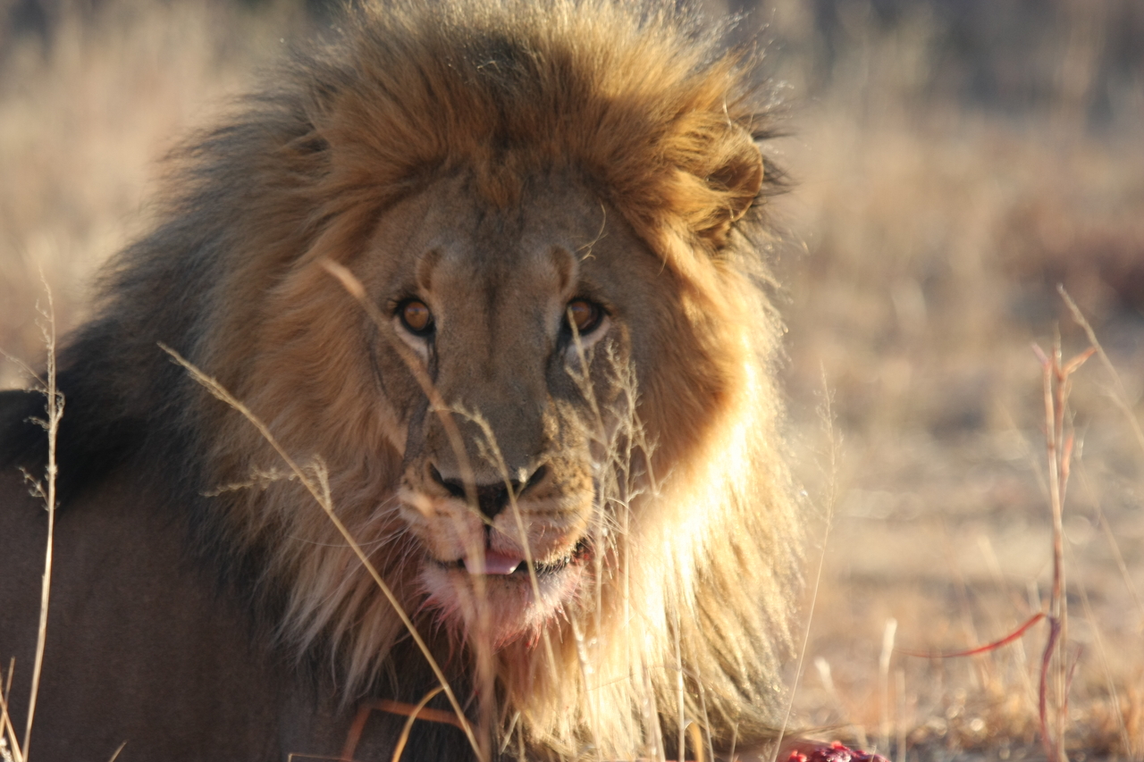 [7850] 2016_06_23_11_46_24_Africa_Canon_EOS_40D_IMG__09336.jpg