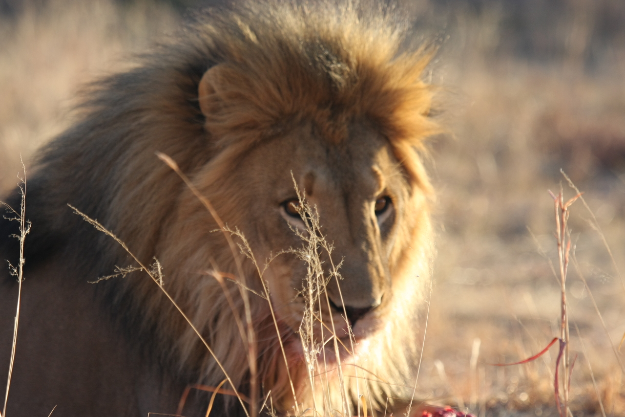 [7860] 2016_06_23_11_46_25_Africa_Canon_EOS_40D_IMG__01892.jpg