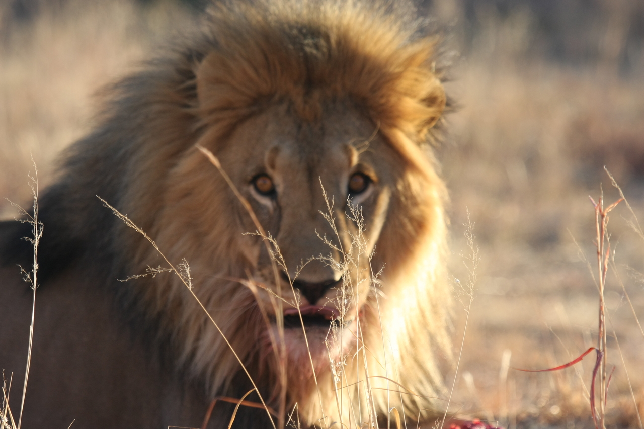 [7861] 2016_06_23_11_46_25_Africa_Canon_EOS_40D_IMG__09337.jpg