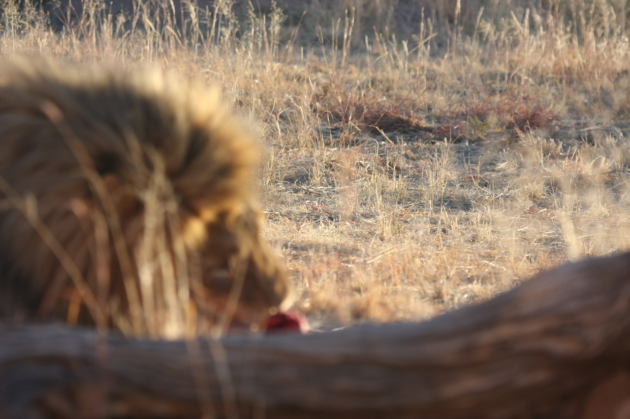 [7867] 2016_06_23_11_46_51_Africa_Canon_EOS_40D_IMG__01895.jpg