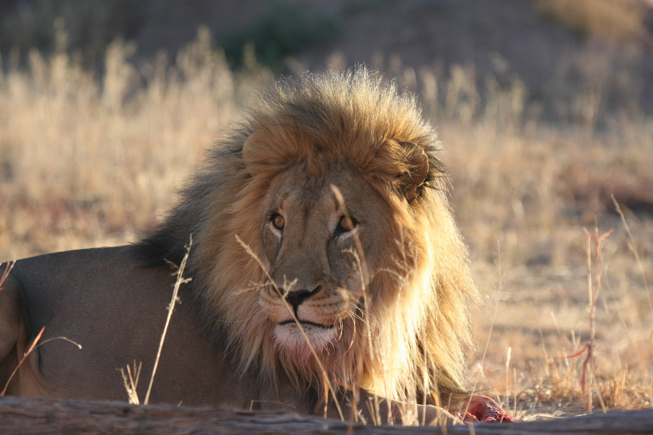 [7891] 2016_06_23_11_47_23_Africa_Canon_EOS_40D_IMG__01069.jpg