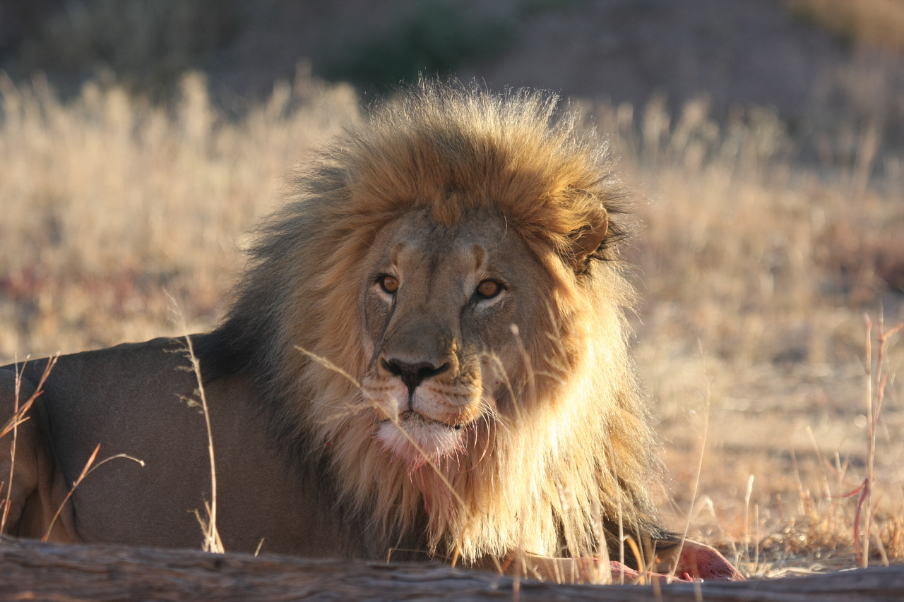 [7894] 2016_06_23_11_47_29_Africa_Canon_EOS_40D_IMG__01070.jpg