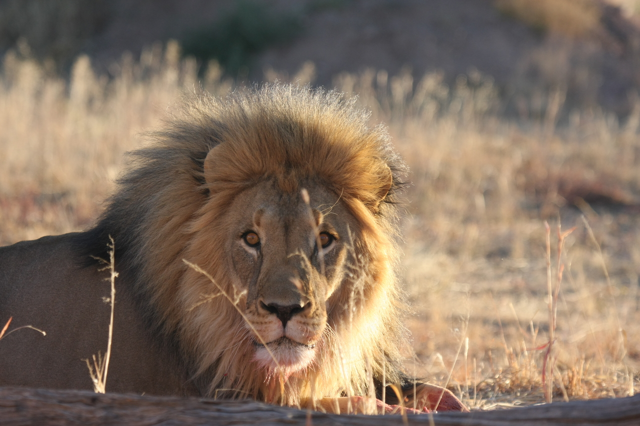 [7896] 2016_06_23_11_47_29_Africa_Canon_EOS_40D_IMG__01073.jpg