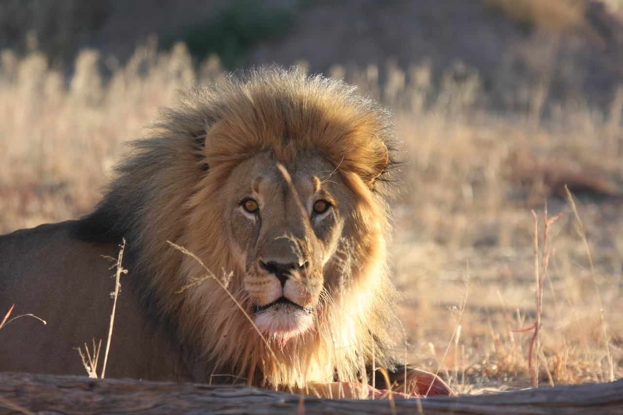 [7906] 2016_06_23_11_47_30_Africa_Canon_EOS_40D_IMG__01908.jpg