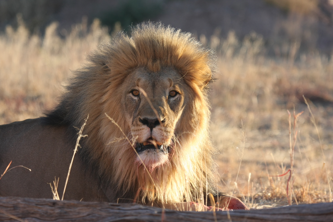 [7907] 2016_06_23_11_47_30_Africa_Canon_EOS_40D_IMG__01909.jpg