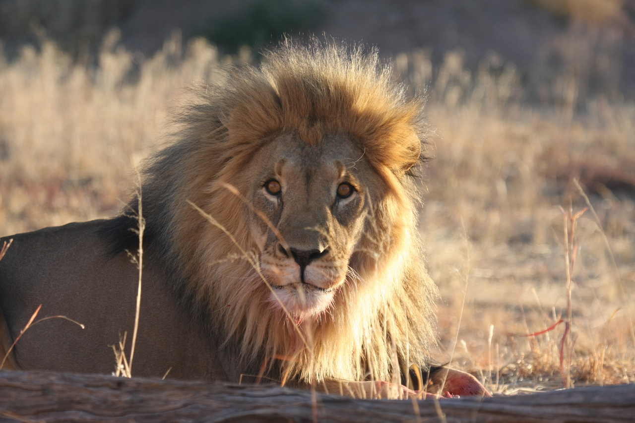 [7933] 2016_06_23_11_47_33_Africa_Canon_EOS_40D_IMG__01919.jpg