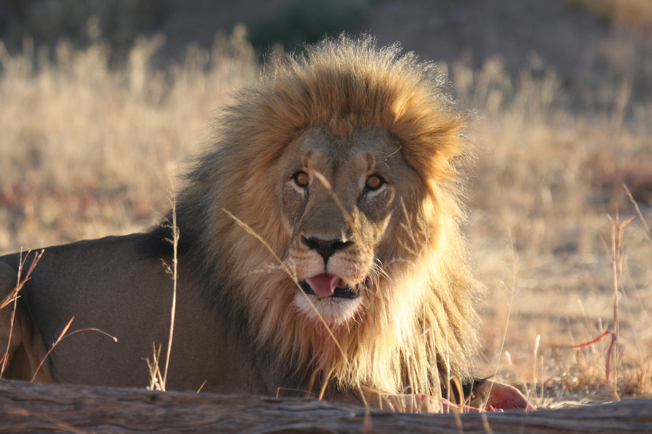 [7934] 2016_06_23_11_47_33_Africa_Canon_EOS_40D_IMG__09365.jpg