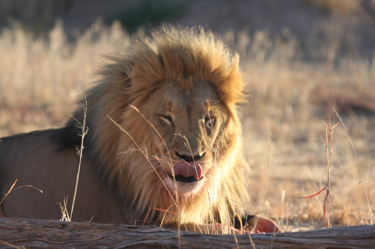 [7936] 2016_06_23_11_47_34_Africa_Canon_EOS_40D_IMG__01086.jpg