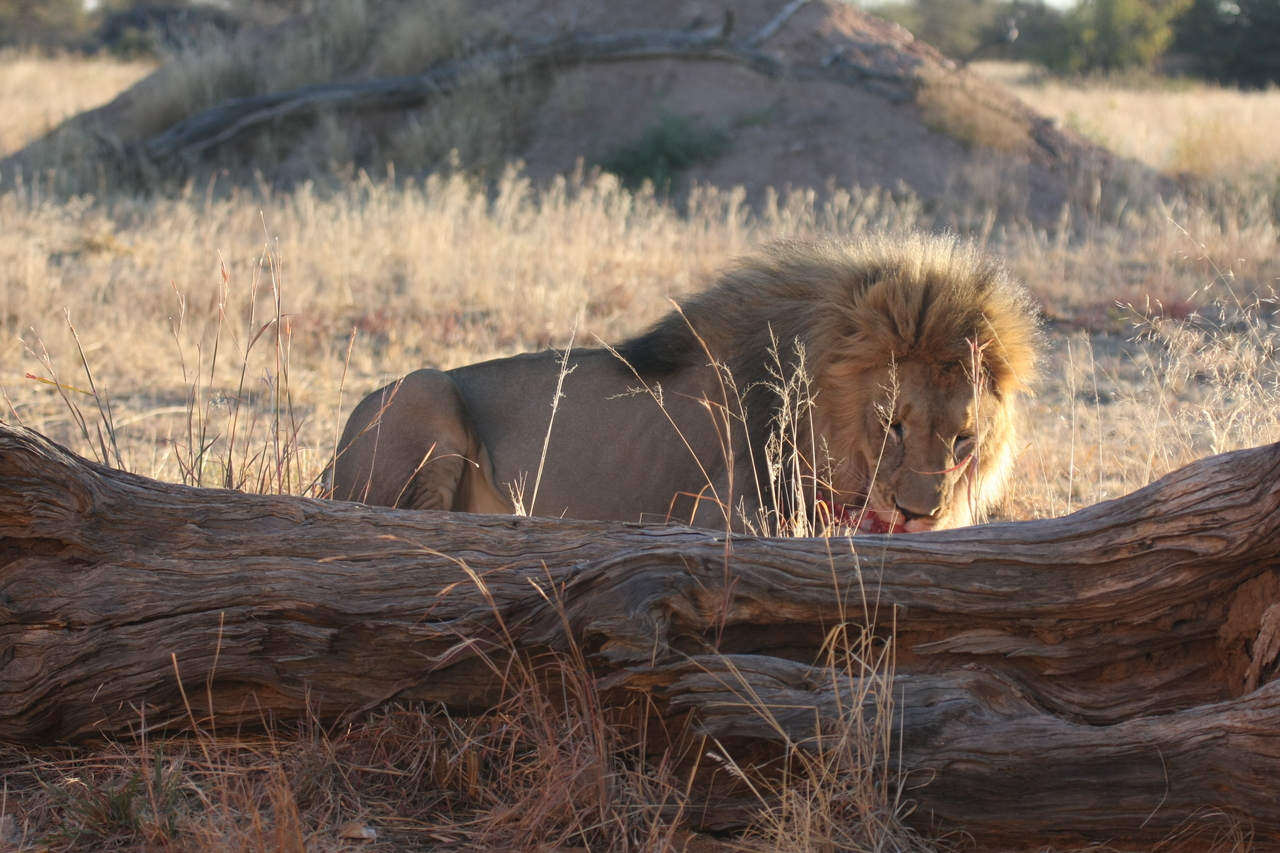 [7941] 2016_06_23_11_48_05_Africa_Canon_EOS_40D_IMG__01089.jpg
