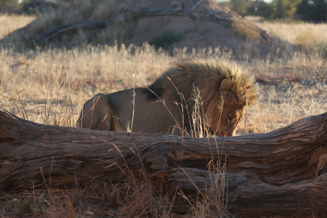 [7948] 2016_06_23_11_48_08_Africa_Canon_EOS_40D_IMG__01090.jpg