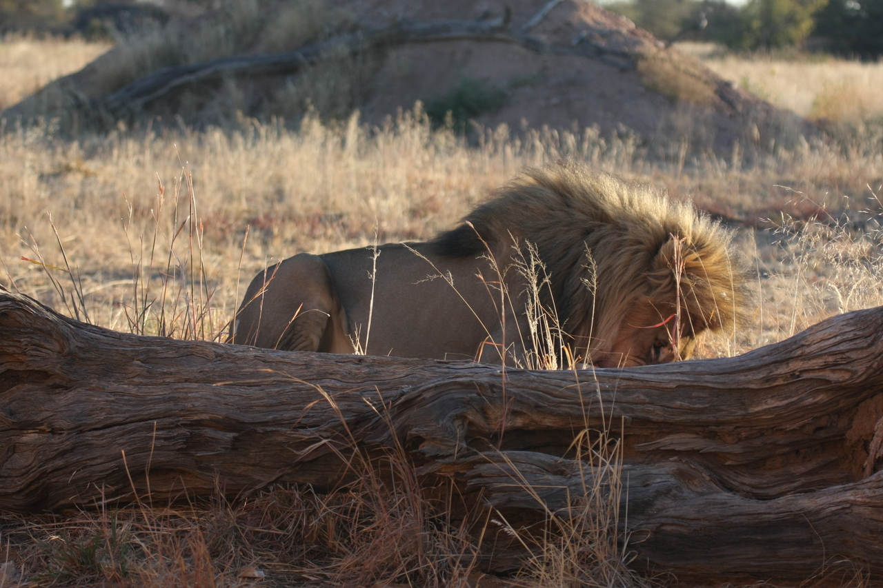 [7958] 2016_06_23_11_48_10_Africa_Canon_EOS_40D_IMG__09036.jpg