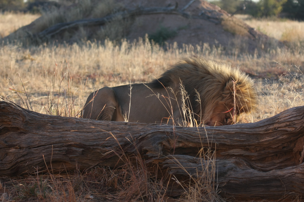 [7959] 2016_06_23_11_48_10_Africa_Canon_EOS_40D_IMG__09373.jpg