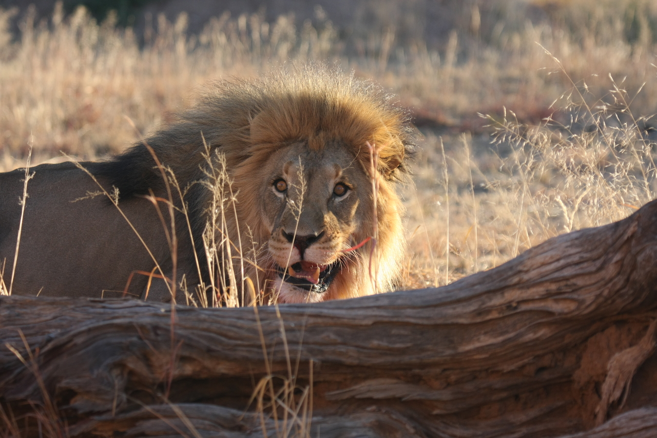 [7964] 2016_06_23_11_48_38_Africa_Canon_EOS_40D_IMG__00758.jpg