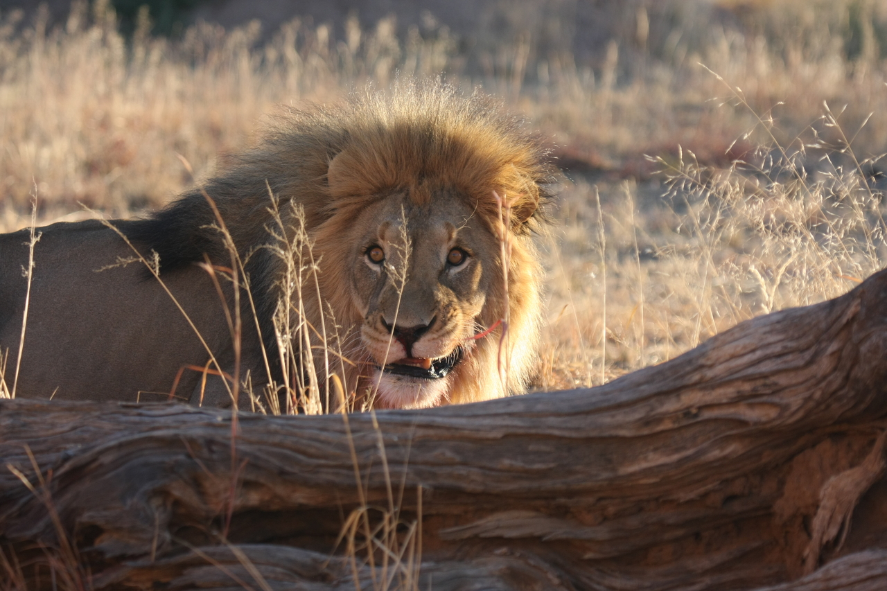 [7965] 2016_06_23_11_48_38_Africa_Canon_EOS_40D_IMG__00759.jpg