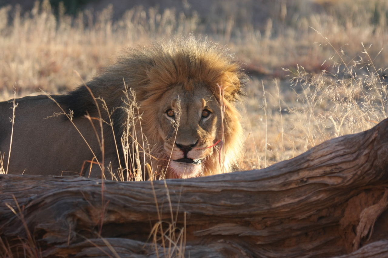 [7966] 2016_06_23_11_48_38_Africa_Canon_EOS_40D_IMG__01591.jpg