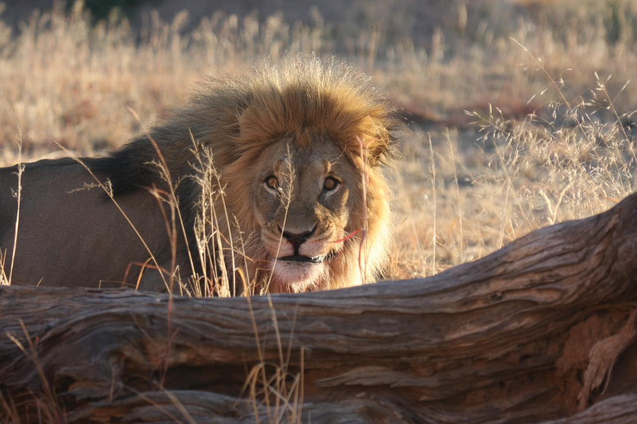 [7972] 2016_06_23_11_48_39_Africa_Canon_EOS_40D_IMG__00760.jpg