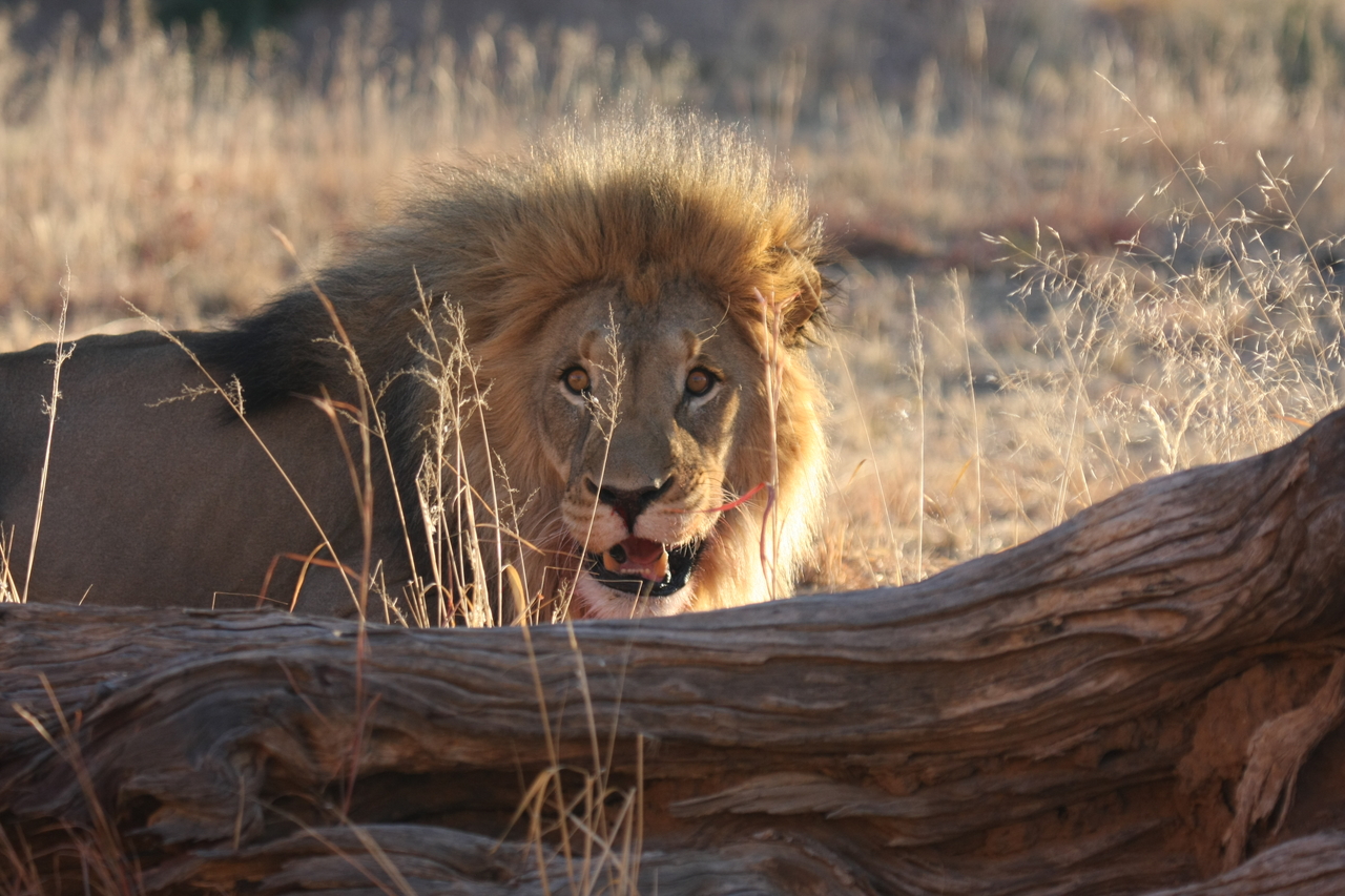 [7974] 2016_06_23_11_48_39_Africa_Canon_EOS_40D_IMG__00762.jpg