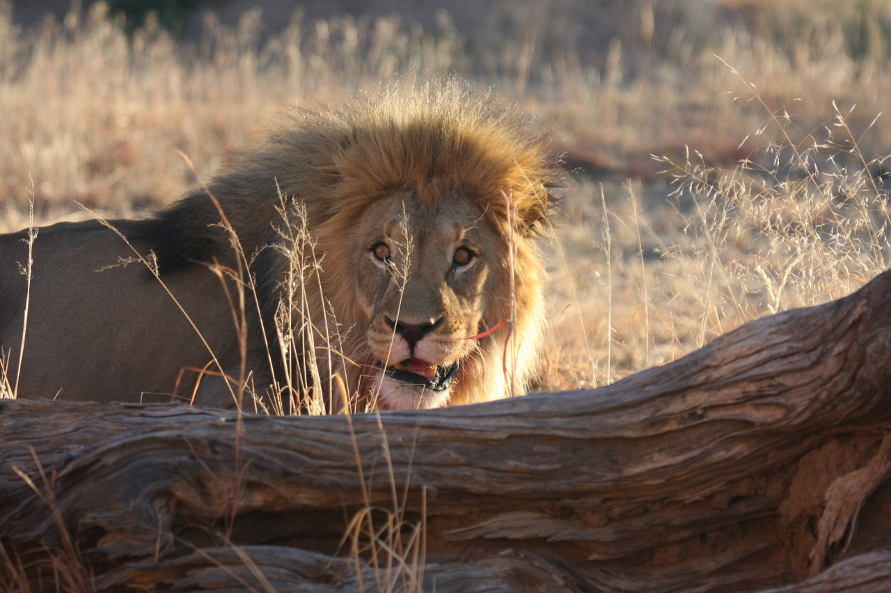 [7976] 2016_06_23_11_48_39_Africa_Canon_EOS_40D_IMG__01595.jpg