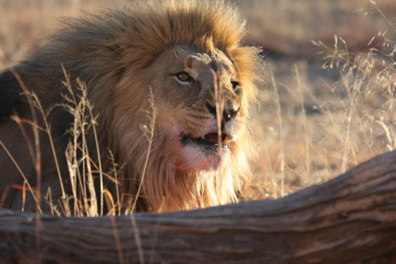 [7981] 2016_06_23_11_48_44_Africa_Canon_EOS_40D_IMG__00763.jpg