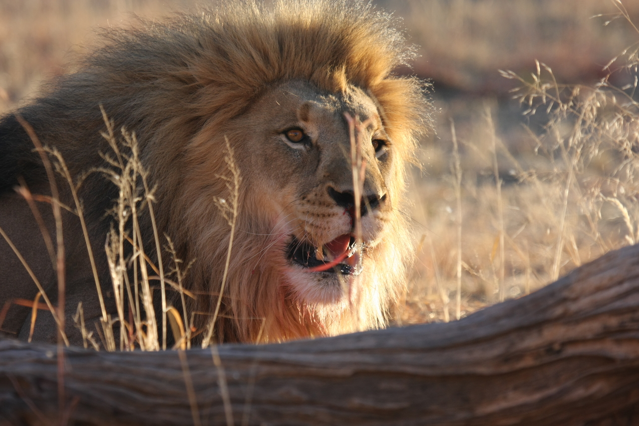 [7988] 2016_06_23_11_48_44_Africa_Canon_EOS_40D_IMG__09045.jpg