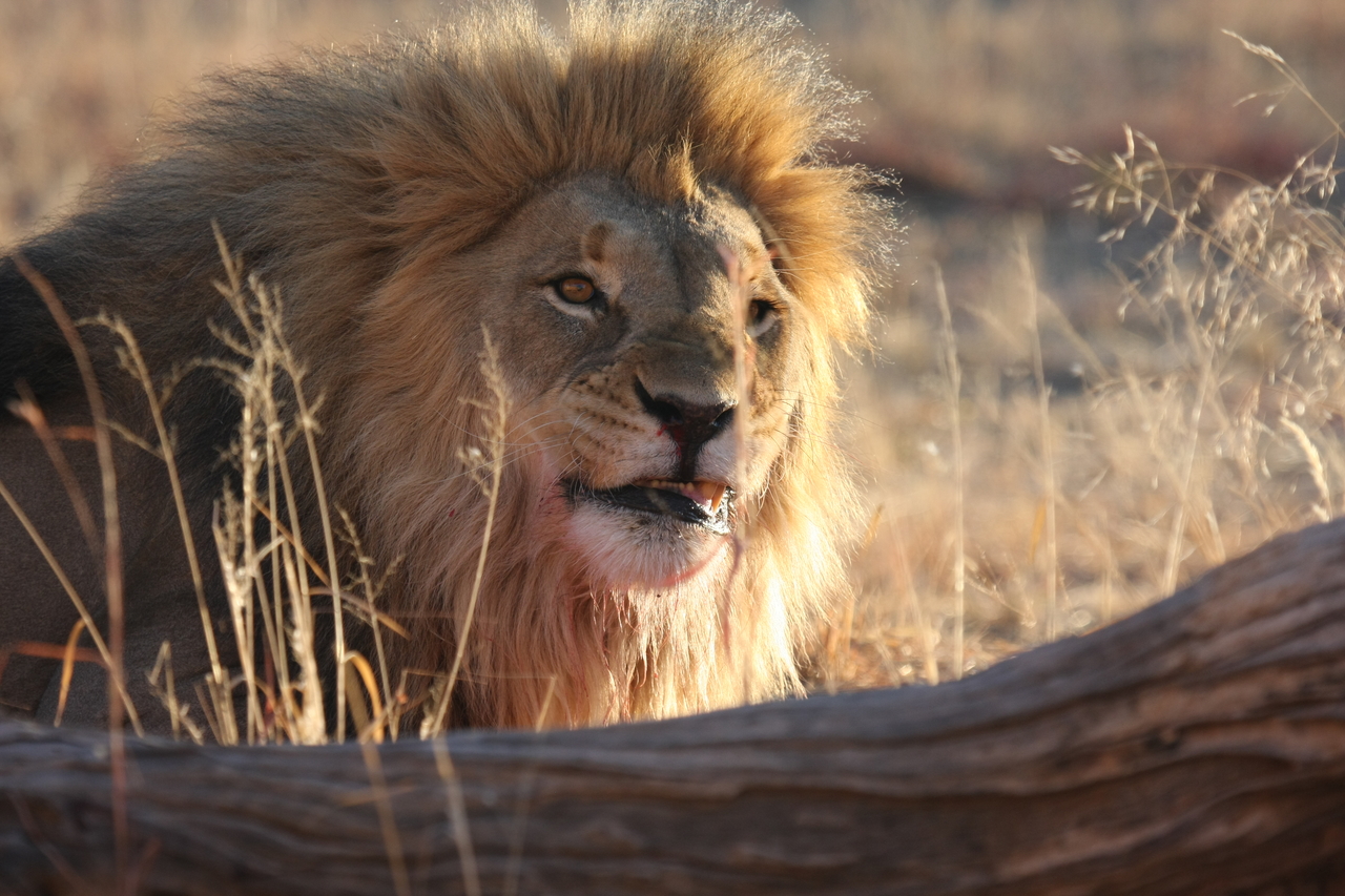 [7992] 2016_06_23_11_48_45_Africa_Canon_EOS_40D_IMG__00769.jpg