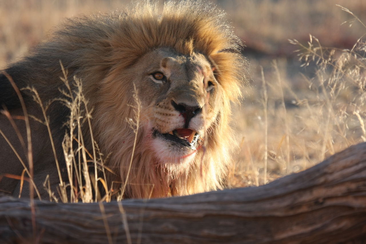 [8002] 2016_06_23_11_48_46_Africa_Canon_EOS_40D_IMG__01604.jpg