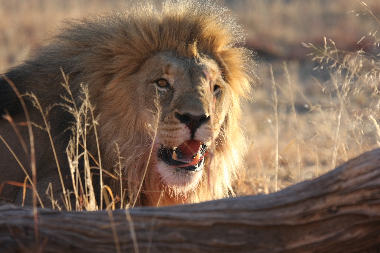 [8003] 2016_06_23_11_48_46_Africa_Canon_EOS_40D_IMG__01605.jpg