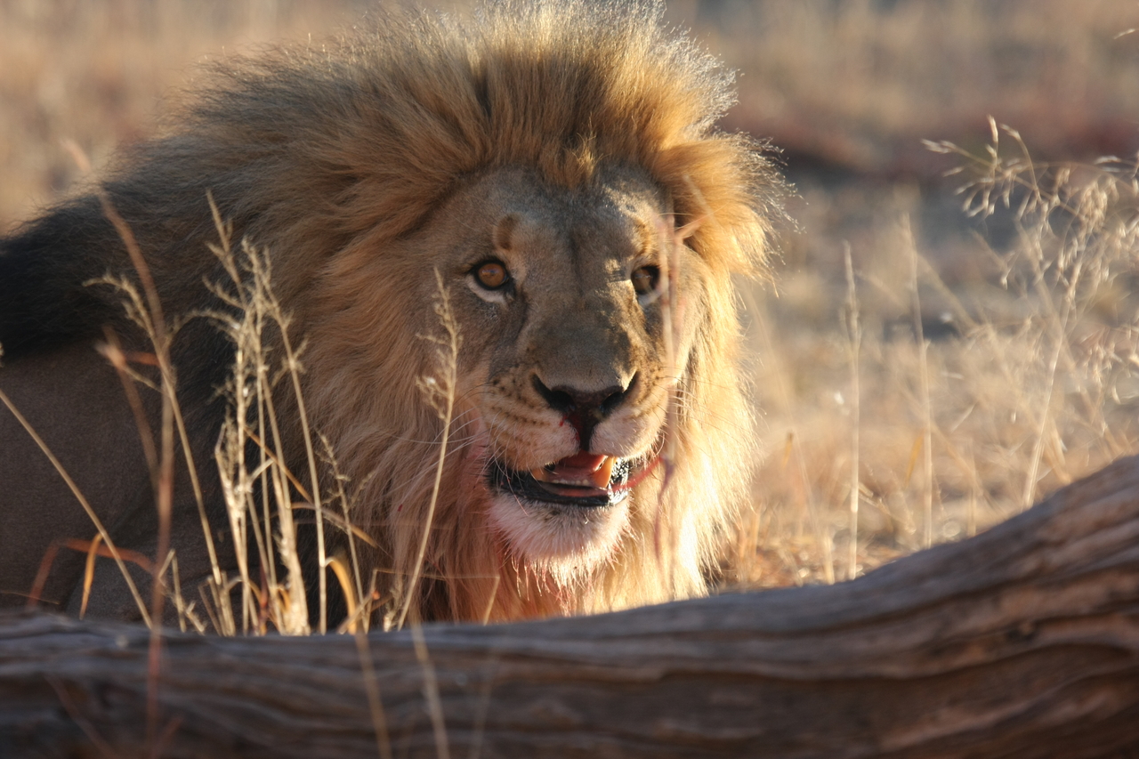 [8009] 2016_06_23_11_48_47_Africa_Canon_EOS_40D_IMG__00774.jpg