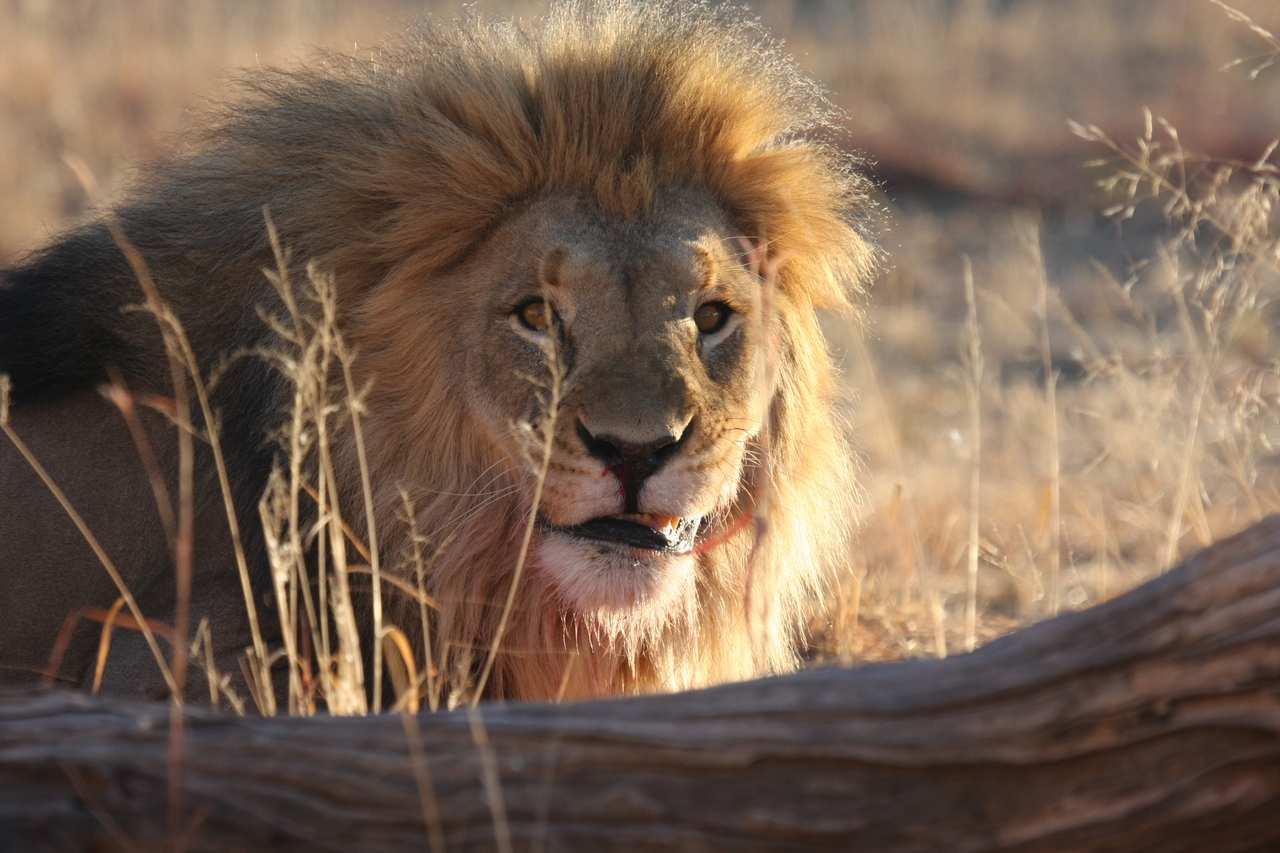 [8016] 2016_06_23_11_48_47_Africa_Canon_EOS_40D_IMG__09056.jpg