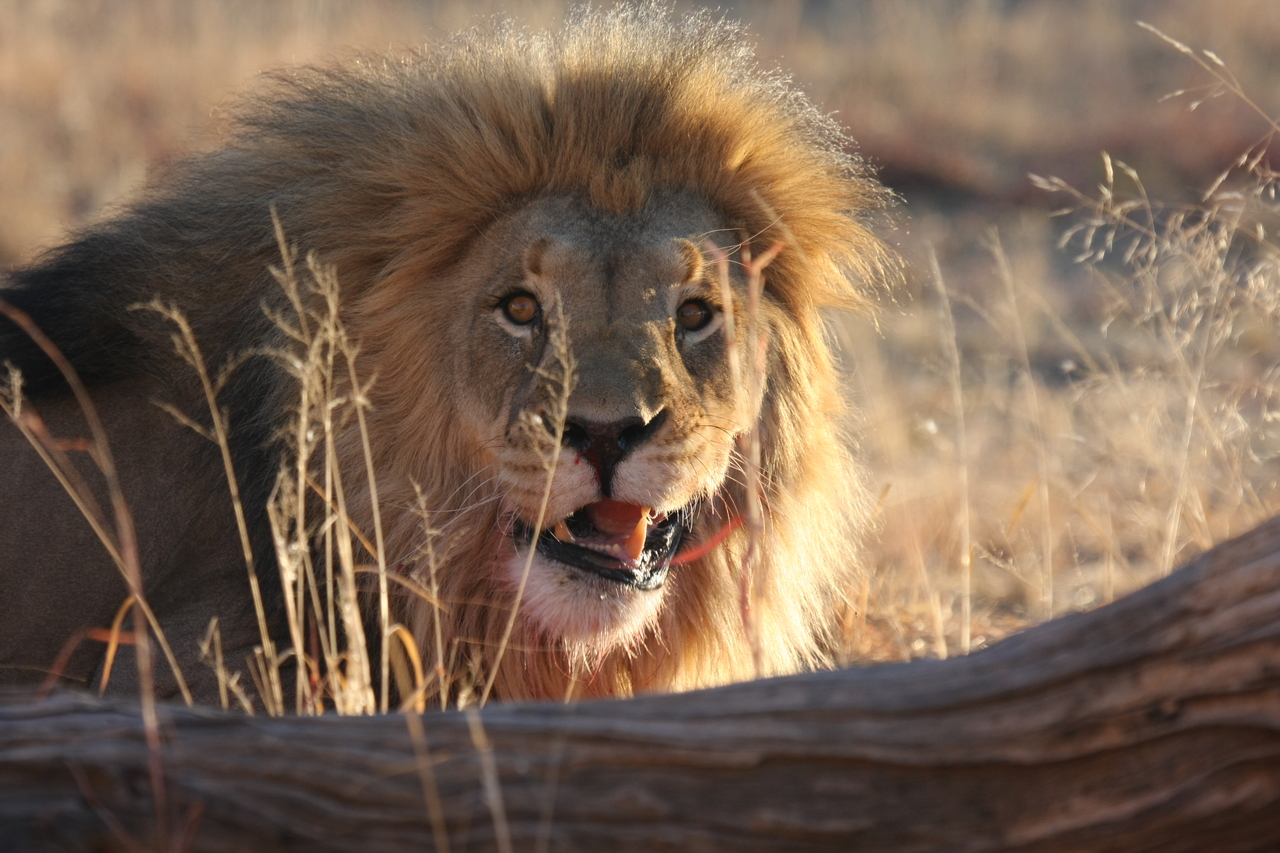 [8019] 2016_06_23_11_48_48_Africa_Canon_EOS_40D_IMG__09058.jpg