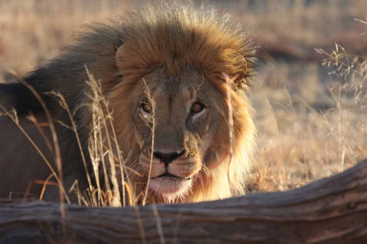 [8027] 2016_06_23_11_48_50_Africa_Canon_EOS_40D_IMG__09060.jpg